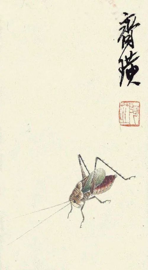 齐白石认识梅兰芳后特意为他画一幅蟋蟀