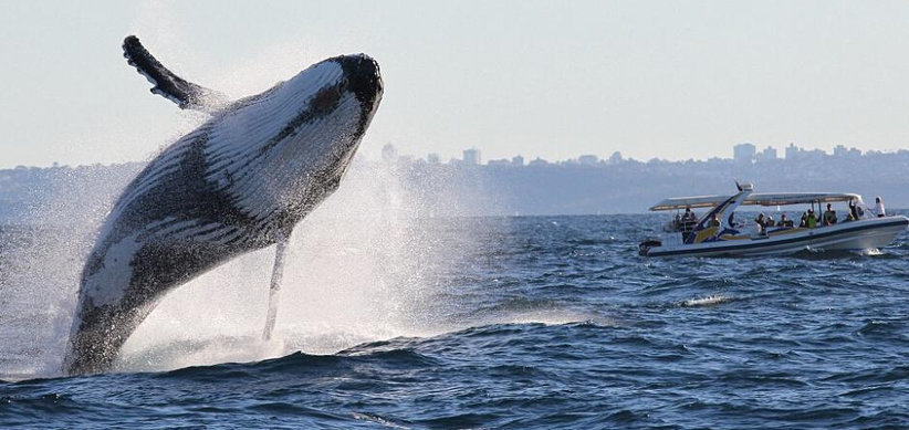 棉花堡观鲸撒哈拉沙漠最具自然资产吸引力的国家5