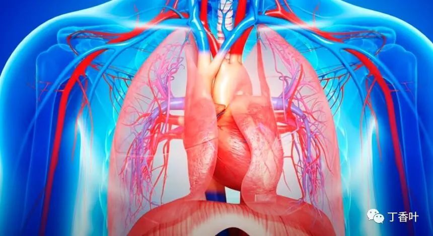 气促   焦虑   心律问题   惊恐发作   打嗝 食管裂孔疝是指食道和