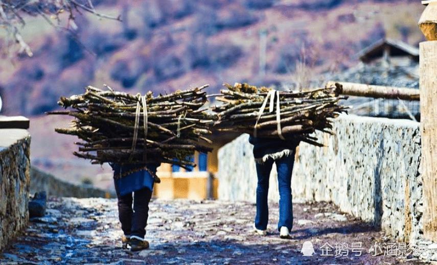 山西农民砍柴发现藏金洞,捡了一车黄金,去银行换钱却当场被抓