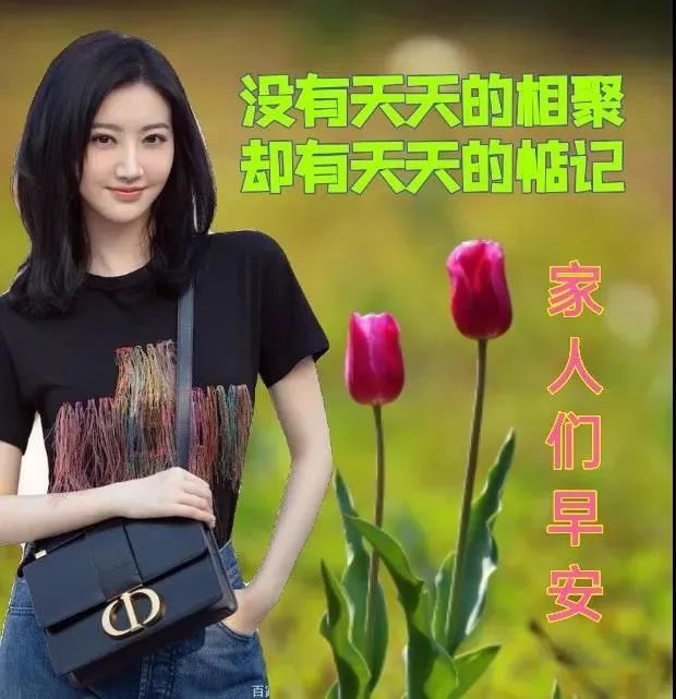 4月20日最有创意好看的春天早上好图片带字带祝福语 2022唯美春天早安