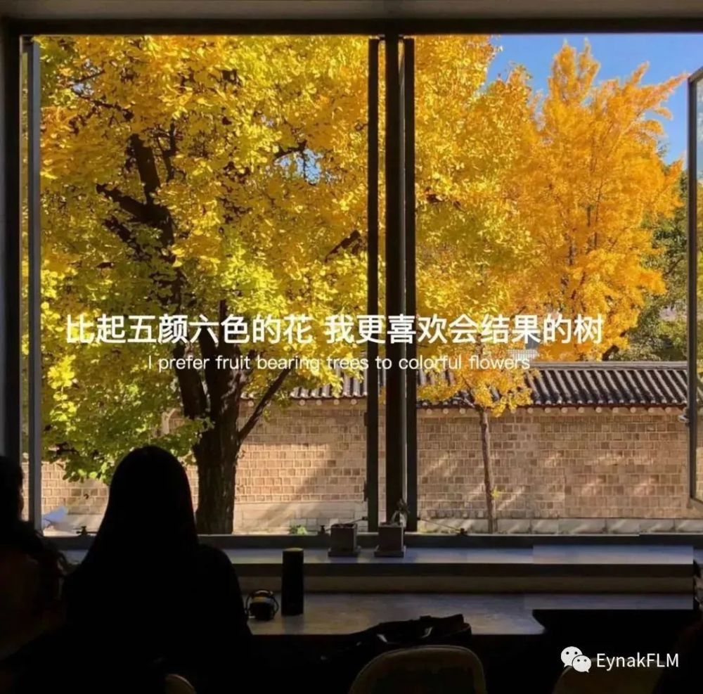 抖音热门文字背景图