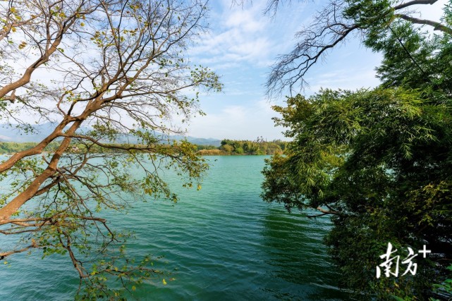 “全域旅游东源样本”｜东江国家湿地公园：河流库塘沙洲湿地组成美丽画卷_腾讯新闻