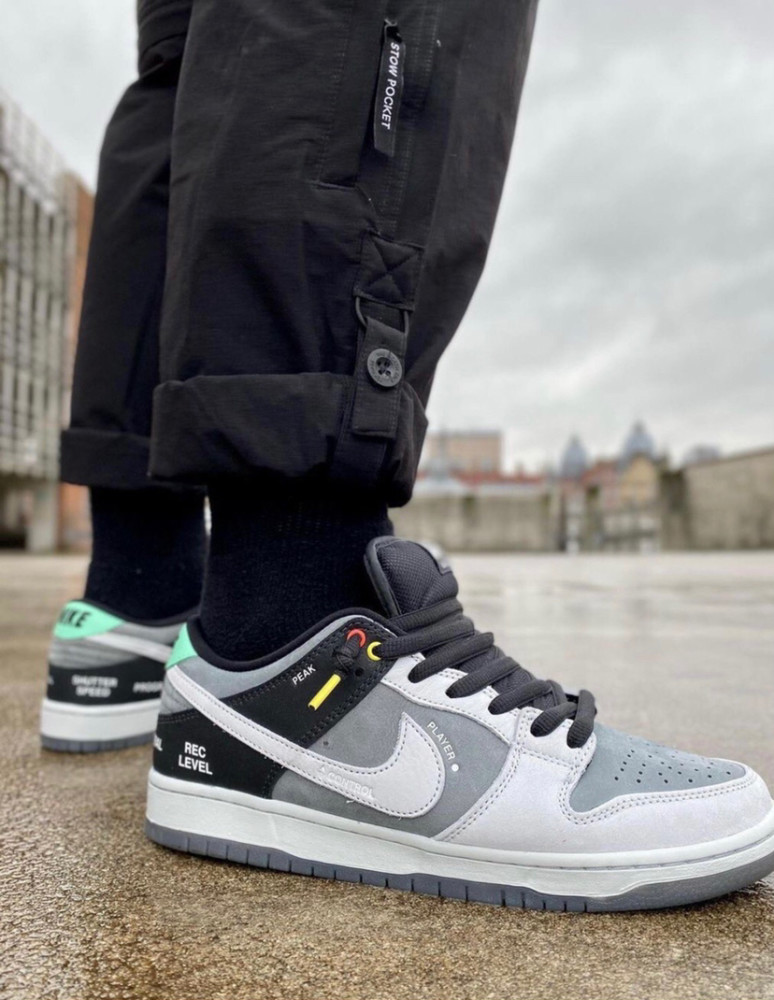 dunk sb vx1000