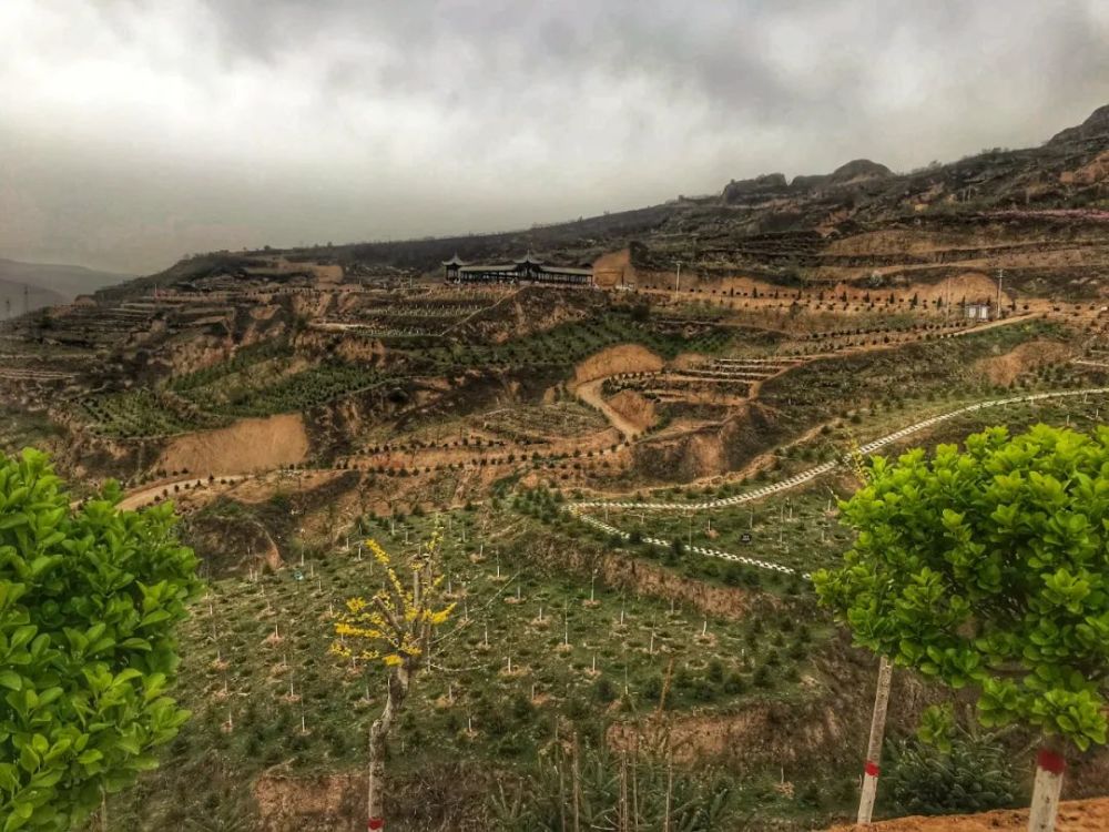 秦安:荒山变公园 鹤山成景区_腾讯新闻