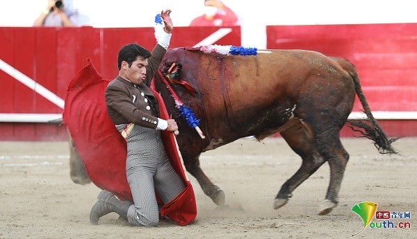 墨西哥莱昂举办斗牛大赛上演华丽决斗