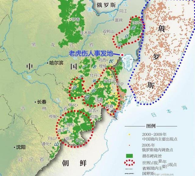 東北的哪些地方可能遭遇東北虎