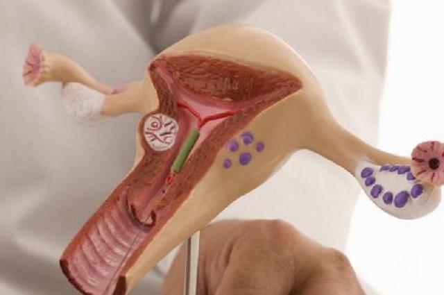 女人每个月排卵后没怀上孕的卵子到哪里去了别不好意思看