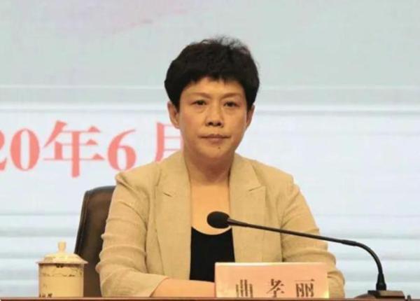 陈安丽任山西省委组织部部长前任已履新河南省纪委书记