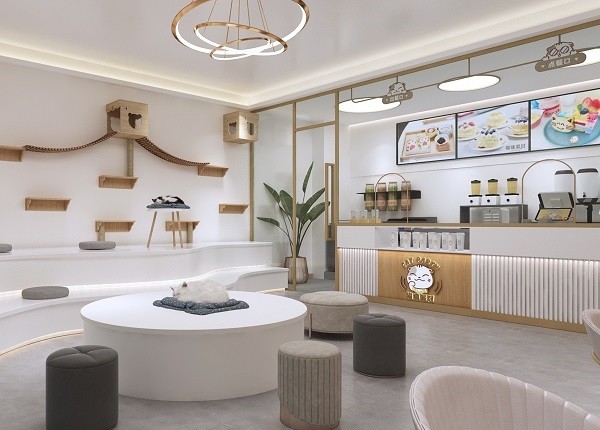 猫咪派对猫咖我记得刚到猫咪派对猫咖的时候,我就被