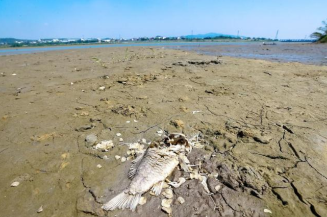 广东福建要下雨了 局地暴雨 日月潭又现178年前墓碑 有多干