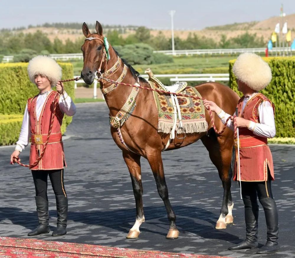 土库曼斯坦选出2021年最美汗血宝马