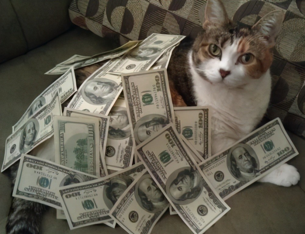 西晋两大富豪开启炫富大比拼房子纯金造蜡烛当柴烧