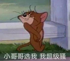 表情包:小哥哥選我,我超級騷