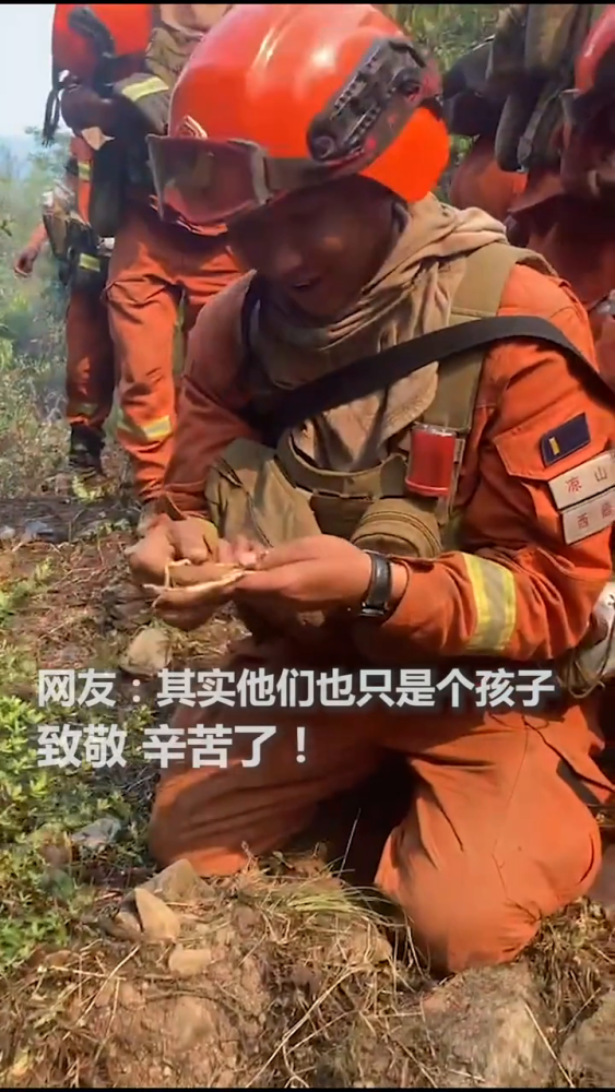 4月24日,四川凉山救火间隙,消防员爬在地上挖折耳根.