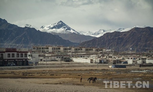 【行在云端】西藏多玛乡:特色产业发展为更多人铺就创收之路