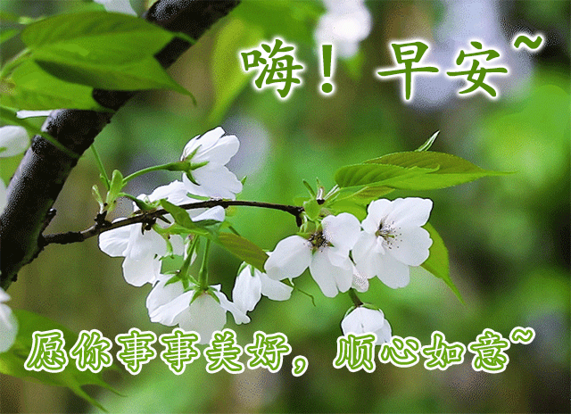 早上好温馨祝福语录吸口气抬起头我愿面向光明不负青春