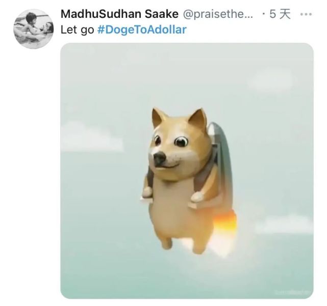 一夜暴跌,全网炒疯的狗狗币是一场笑话?