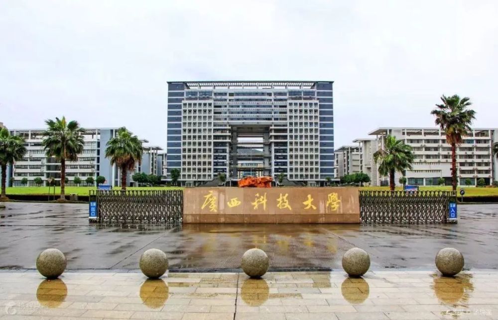 广西科技大学 柳石图片