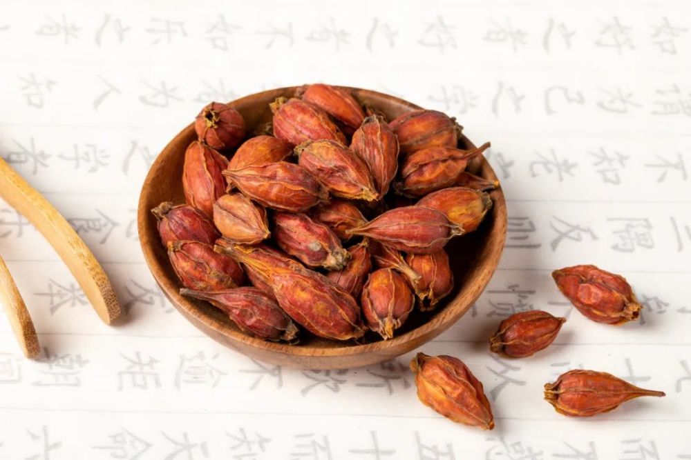 玉质自然无暑意花中禅客栀子能入诗入画更能入药
