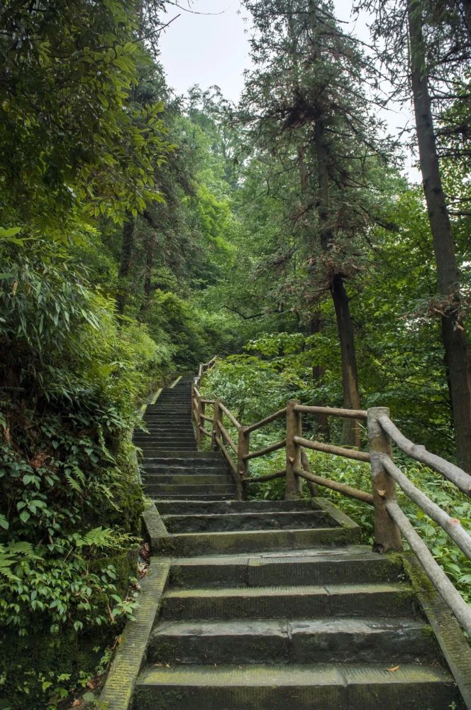 4天3夜峨眉山之行五一这样安排妥了