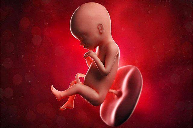 原来这才是孕期最好的养胎神器胎儿很需要它