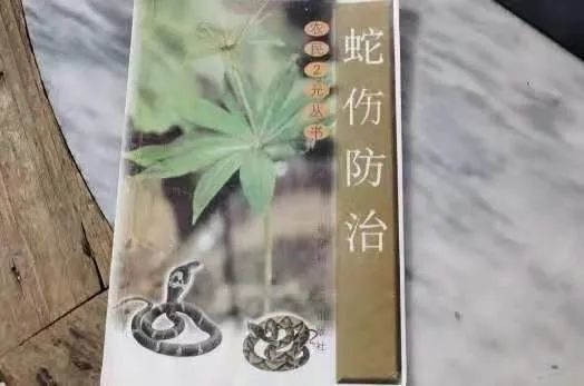 非遗小镇浦城（浦城县非物质文化遗产） 第5张