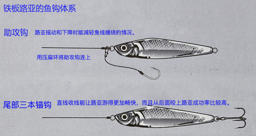 路亞釣重要釣法之青花魚釣法日本專業釣魚書籍