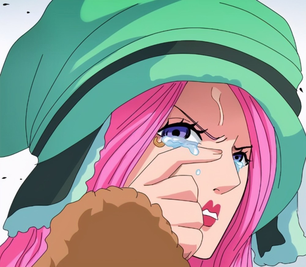 海贼王关于暴君熊的过去三点细节证明波妮是熊的女儿