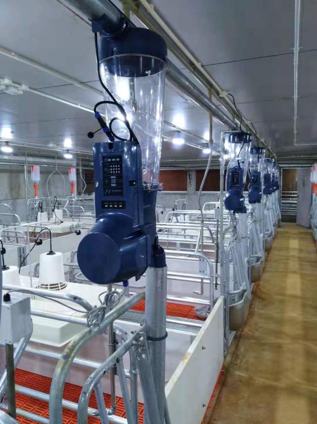 人工智能化是我国大型养猪场的基本出路