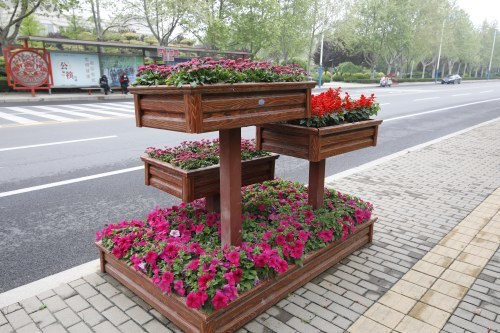 30万余株鲜花扮靓市城区迎五一