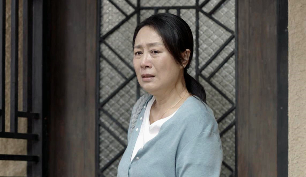 小舍得为了半套房子蔡菊英终于不再装了南建龙看透她的嘴脸