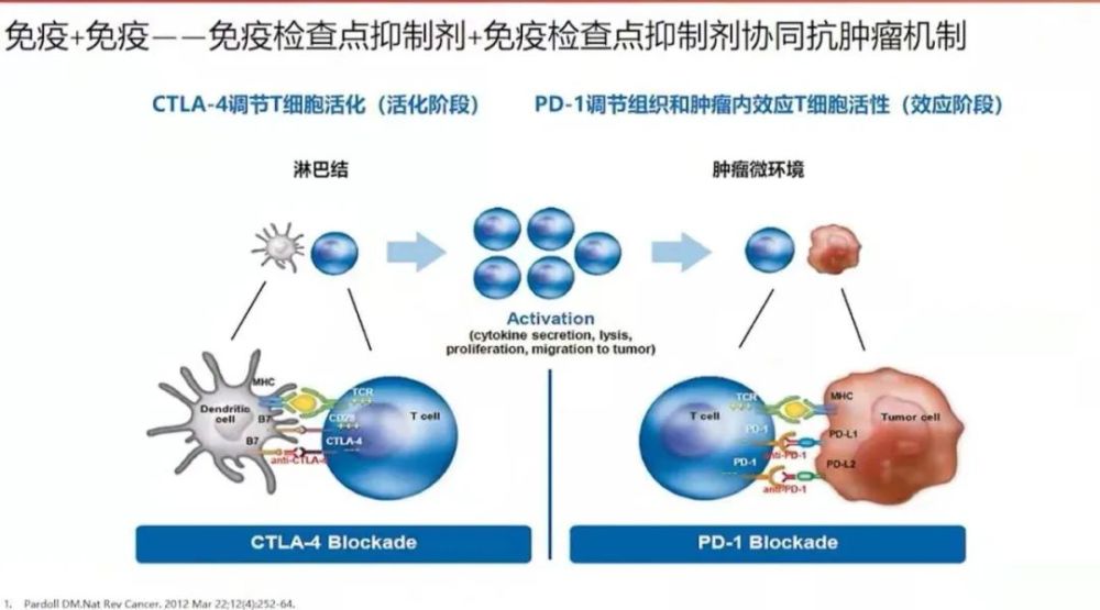 每週一課|顧宇教授:卵巢癌的免疫治療進展_騰訊新聞