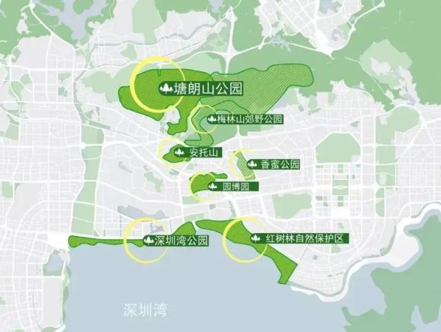 博物館項目地處福田與南山兩區交界,位於