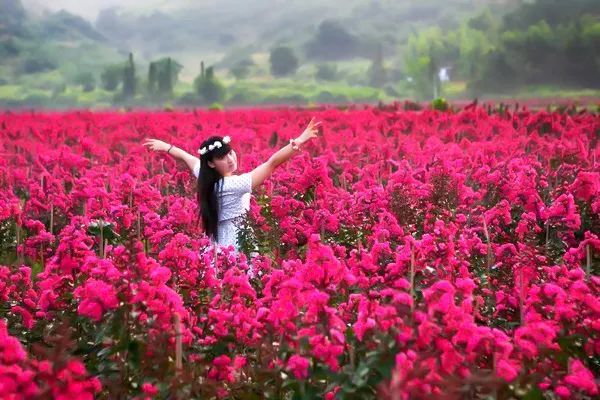 身旁則是茂密的玫瑰花叢浪漫和夢幻就是這麼簡單在花海里捉迷藏,拍抖