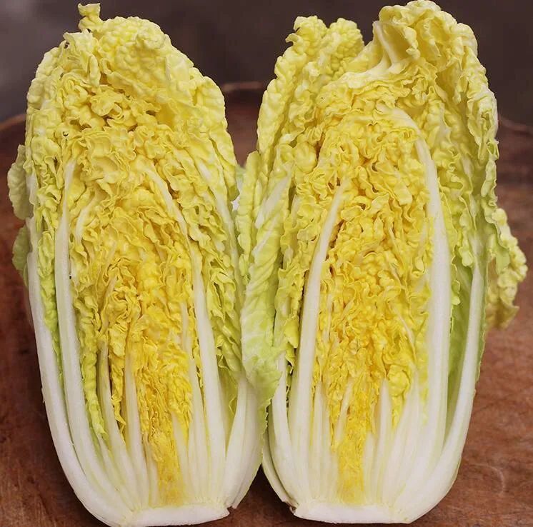 适合四五月份种的甜白菜品种特别好吃