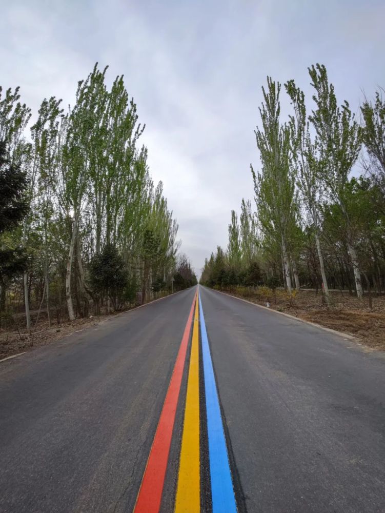 快去打卡贺兰山下这条路变了样儿很有网红公路的潜质哦