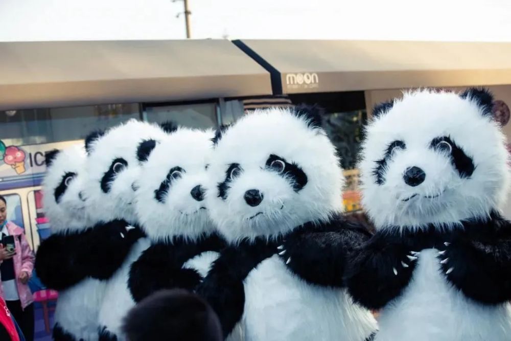 荆门园博园首届熊猫艺术巡回展6月1日盛大开幕!不限量礼品免费送啦!