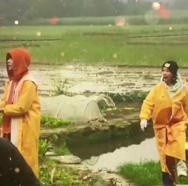 雨衣排行_上海现“暴利”一次性雨衣,一件90元,网友说“明码标价很合理”