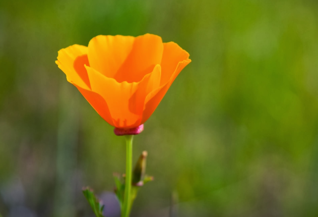 5月 开个好头 入骨相思 桃花牵线 3生肖心心念念 幸运牵手旧情人 腾讯新闻