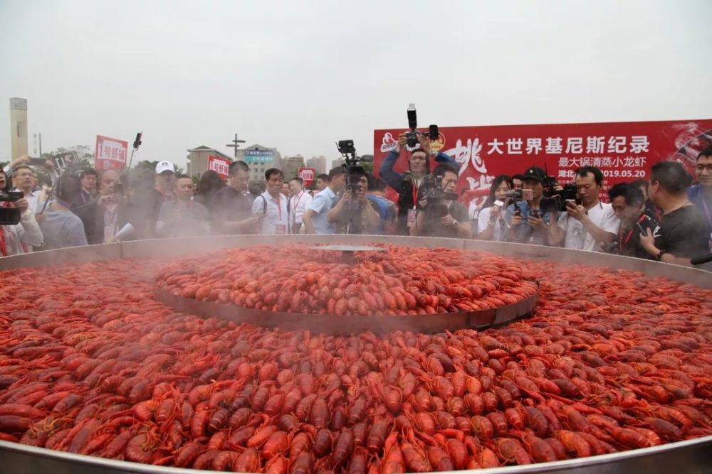 致富经养河虾_致富经养虾_致富经淡水虾养殖视频