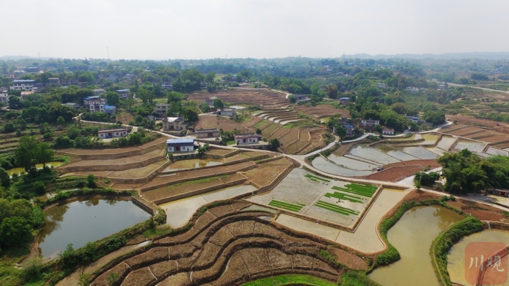 泸州龙马潭啥是高标准农田上图