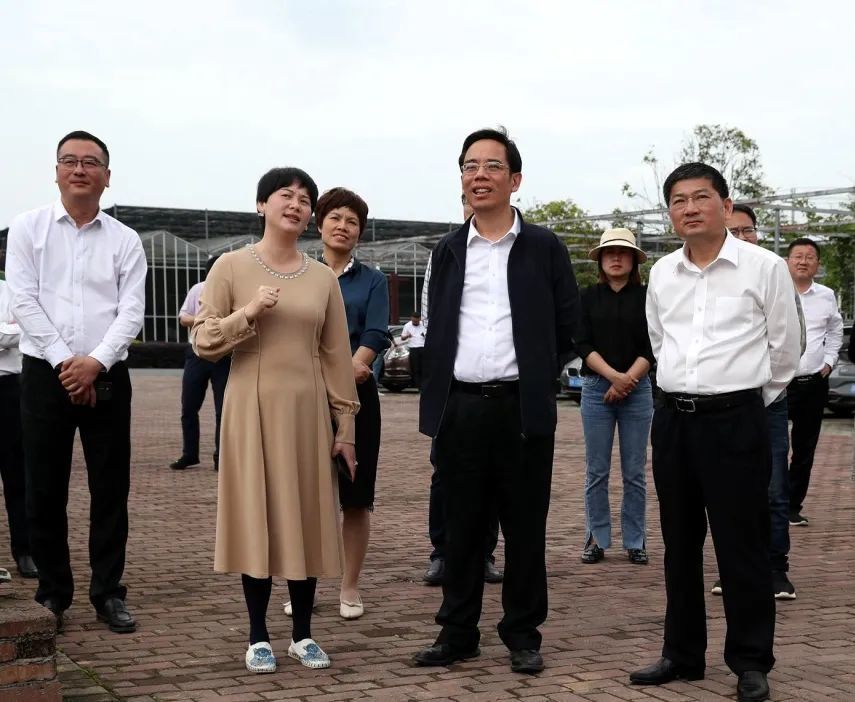 市领导吴舜泽来衢江区调研农业农村工作