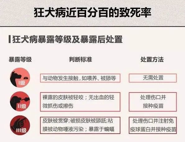 狂犬病超過一年的發病幾率大嗎?