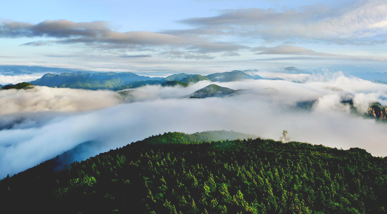 百山祖景區 /在春暖花開的季節慶元美景1慶元龍頭山