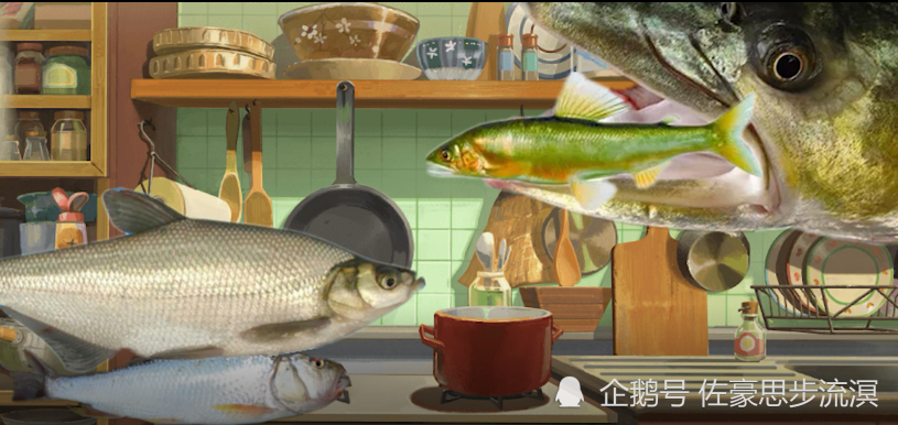 小森生活 巨型肉食型鱼类为何与幼鱼苗长存 钓鱼爱好者的冷知识猜想 腾讯新闻