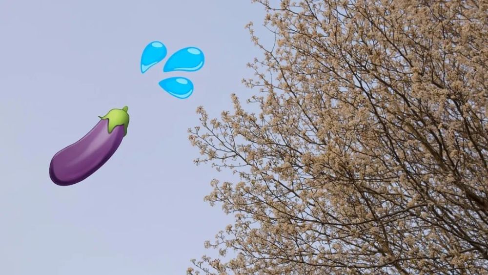 明知道石楠花的味道令人尴尬 为什么我们还那么爱种它 腾讯新闻