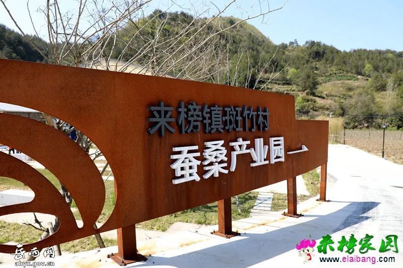 重走"丝绸之路",穿越千年领略蚕桑文化