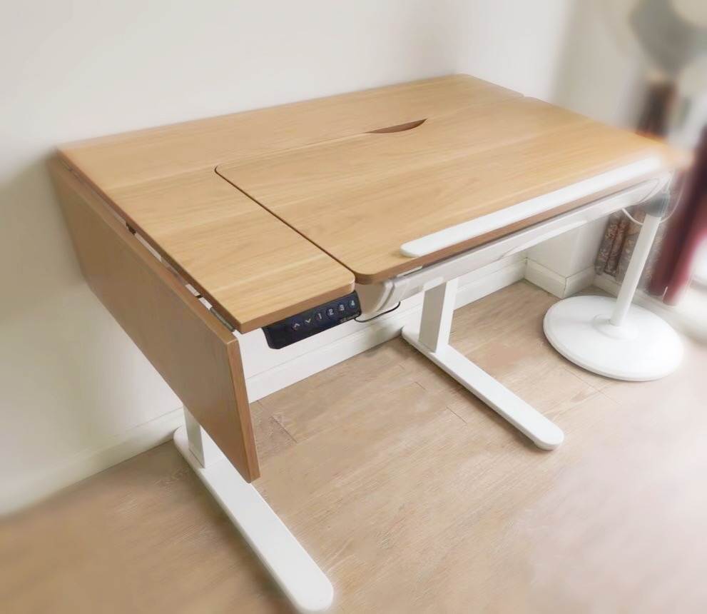 乐歌et6绘画电动升降桌提升生活幸福感的好物