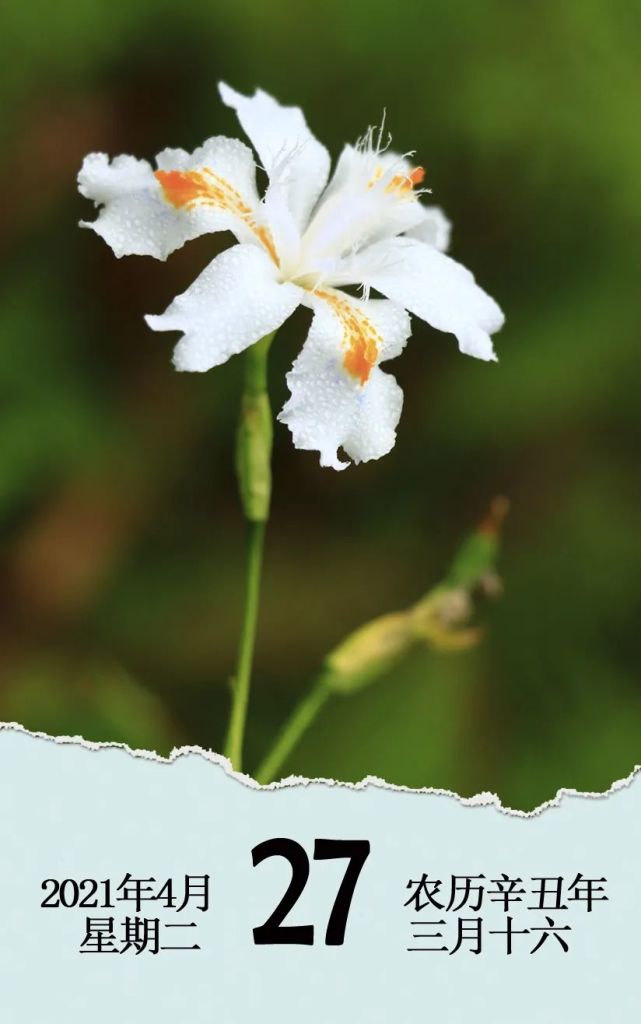 日历2021年4月27日星期二